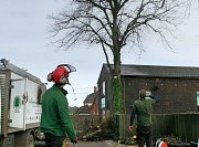 Team Leader Jez and Arborist Dane were on hand to give instruction from ground level thumb