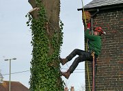 Apprenitce Kyle took the climb for this job in Hythe town centre thumb