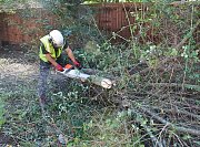 Team Leader Paul sets to work clearing various species thumb