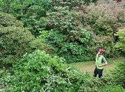 A guide rope was set in place to assist the fell thumb