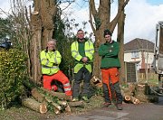From left to right, Team Leader Kevin, Arborist Sam and Arborist Rob thumb