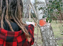 Tree Consultancy - Brockenhurst, New Forest thumb