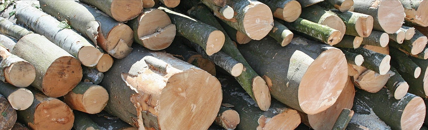 Buy Logs, Woodchip and Mulch